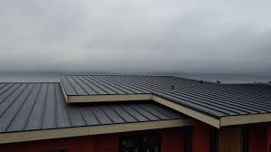 Best Roof Coating and Sealing  in Weddington, NC